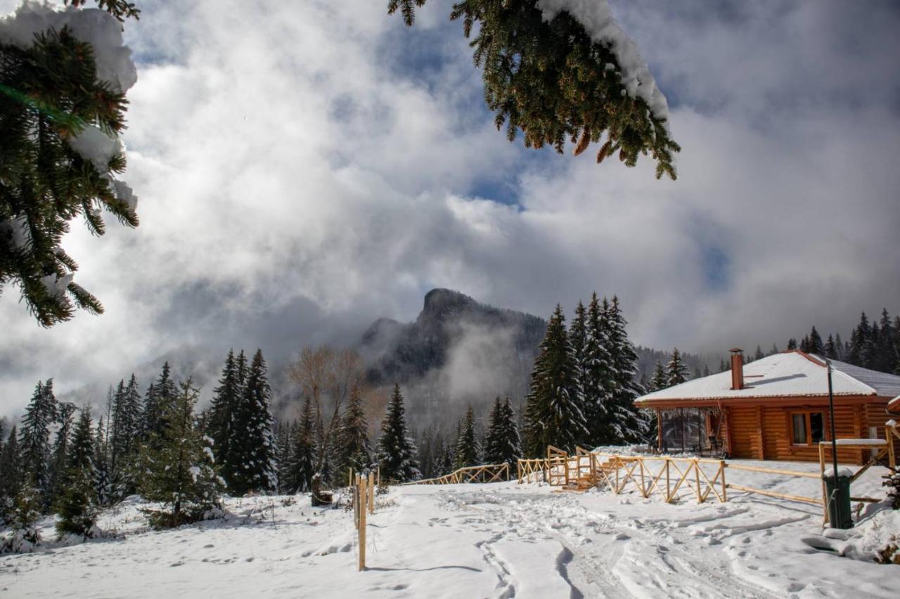 Вила Морава Pamporovo Esterno foto