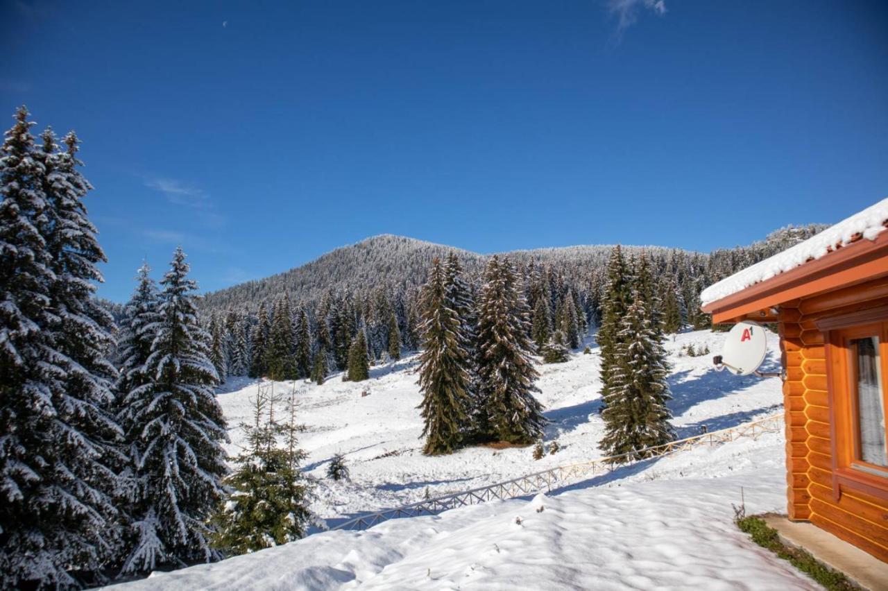 Вила Морава Pamporovo Esterno foto